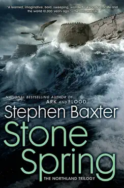 stone spring book cover image