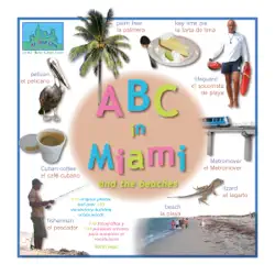 abc in miami book cover image