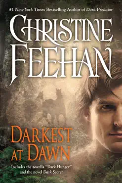 darkest at dawn book cover image