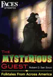 The Mysterious Guest synopsis, comments