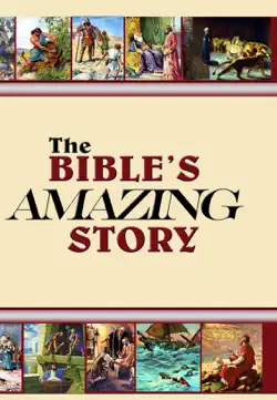 the bible's amazing story book cover image