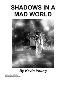 shadows in a mad world book cover image