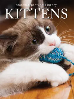 kittens book cover image