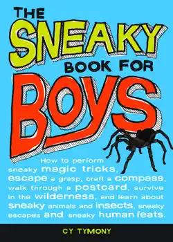 sneaky book for boys book cover image