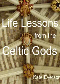 life lessons from the celtic gods imagen de la portada del libro