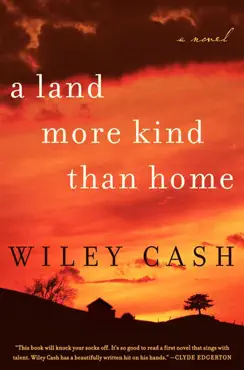 a land more kind than home book cover image