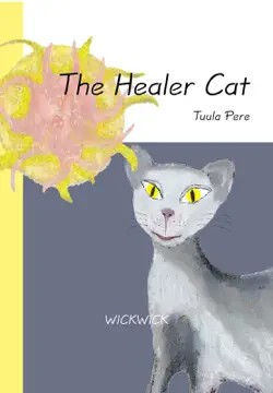 the healer cat book cover image