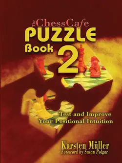 the chesscafe puzzle book 2 book cover image