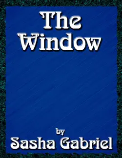 the window book cover image
