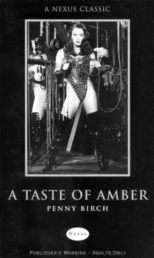a taste of amber book cover image