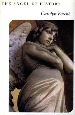 the angel of history book cover image