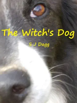 the witch's dog book cover image