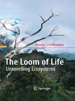 the loom of life book cover image