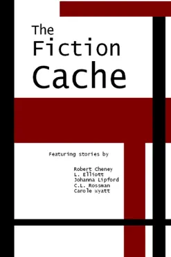 the fiction cache book cover image