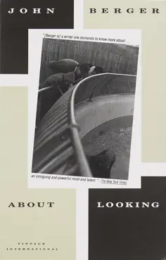 about looking book cover image