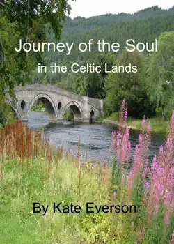 journey of the soul book cover image
