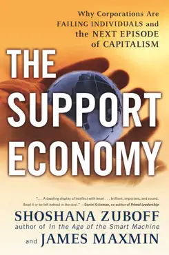 the support economy book cover image