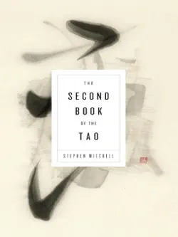 the second book of the tao book cover image