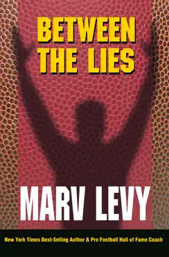 between the lies book cover image