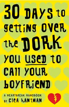 30 days to getting over the dork you used to call your boyfriend book cover image