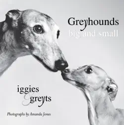 greyhounds big and small book cover image