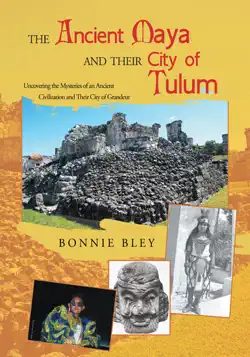 the ancient maya and their city of tulum book cover image