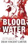 Blood Water synopsis, comments
