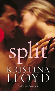 split book cover image