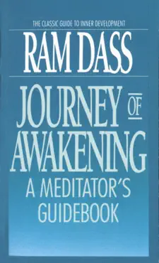 journey of awakening book cover image