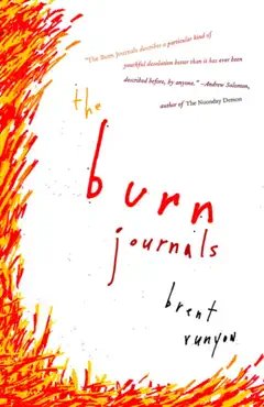 the burn journals book cover image