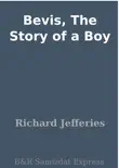 Bevis, The Story of a Boy synopsis, comments