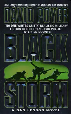 black storm book cover image