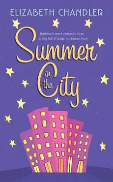 summer in the city book cover image