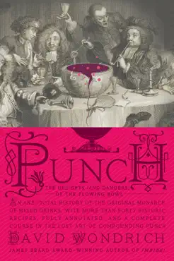 punch book cover image