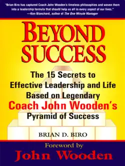 beyond success book cover image