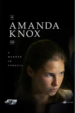 the amanda knox story book cover image