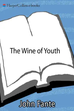 the wine of youth book cover image