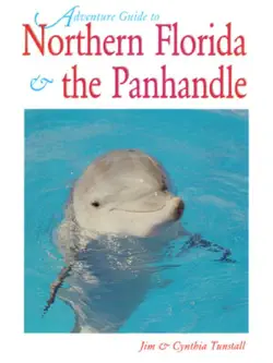 northern florida book cover image