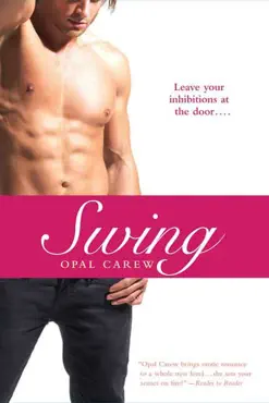 swing book cover image