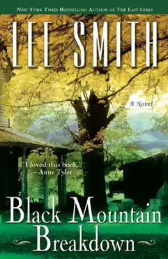 black mountain breakdown book cover image