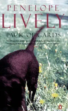 pack of cards imagen de la portada del libro