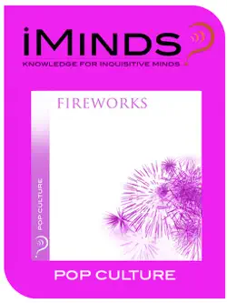 fireworks book cover image