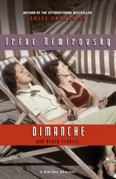 dimanche and other stories book cover image