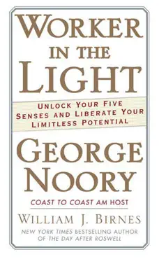 worker in the light book cover image