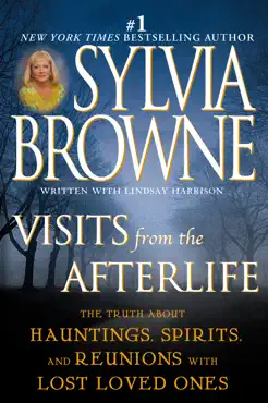visits from the afterlife book cover image