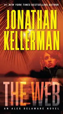 the web book cover image