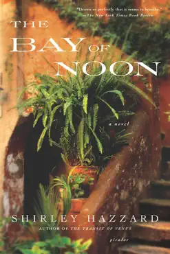 the bay of noon book cover image