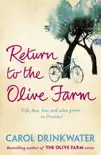 Return to the Olive Farm sinopsis y comentarios