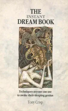 the instant dream book book cover image