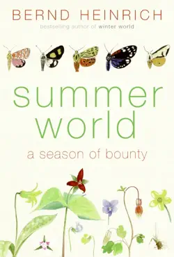 summer world book cover image